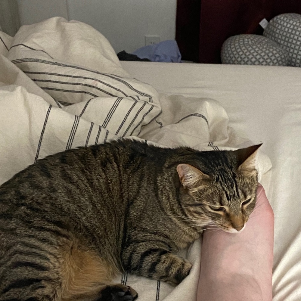 Meet your Posher, Amber